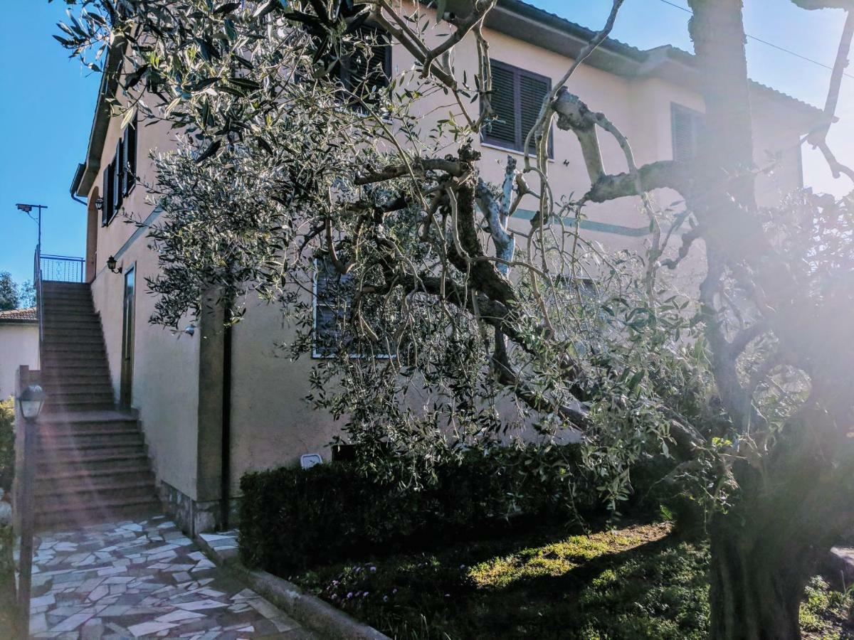 Maremmano BnB Capalbio Exteriör bild